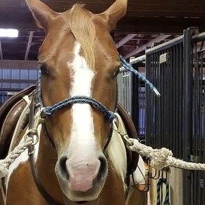 Meet your Posher, Natalie